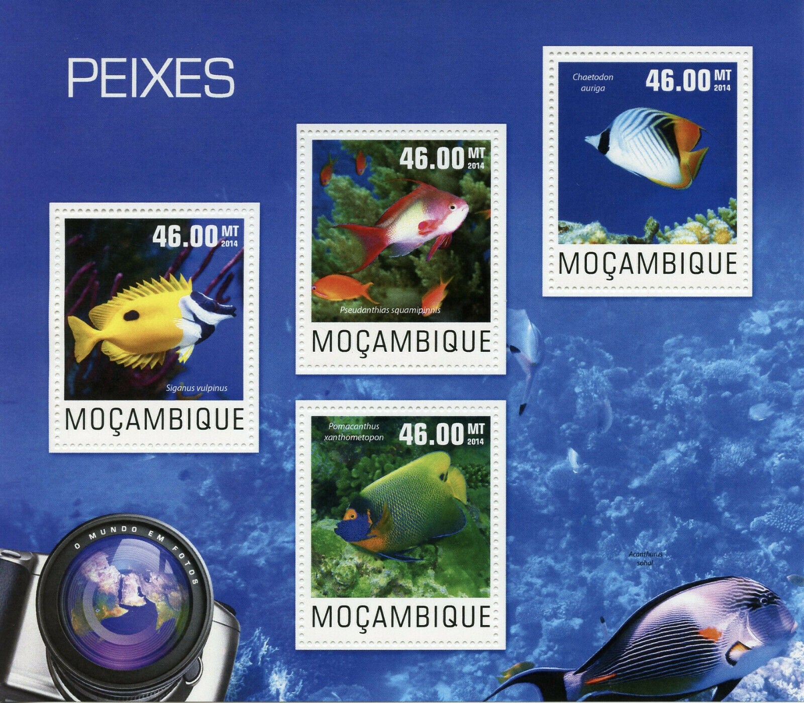 Mozambique Fish Stamps 2014 MNH Rabbitfish Angelfish Fishes Marine 4v M/S