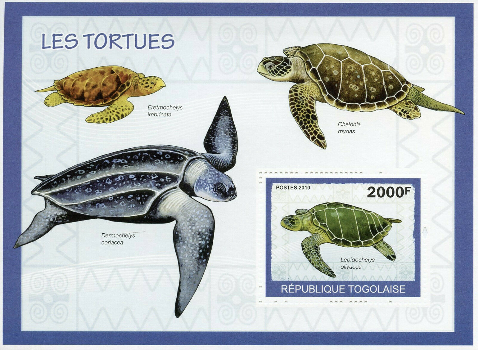 Togo Turtles Stamps 2010 MNH Leatherback Olive Ridley Sea Turtle Reptiles 1v S/S