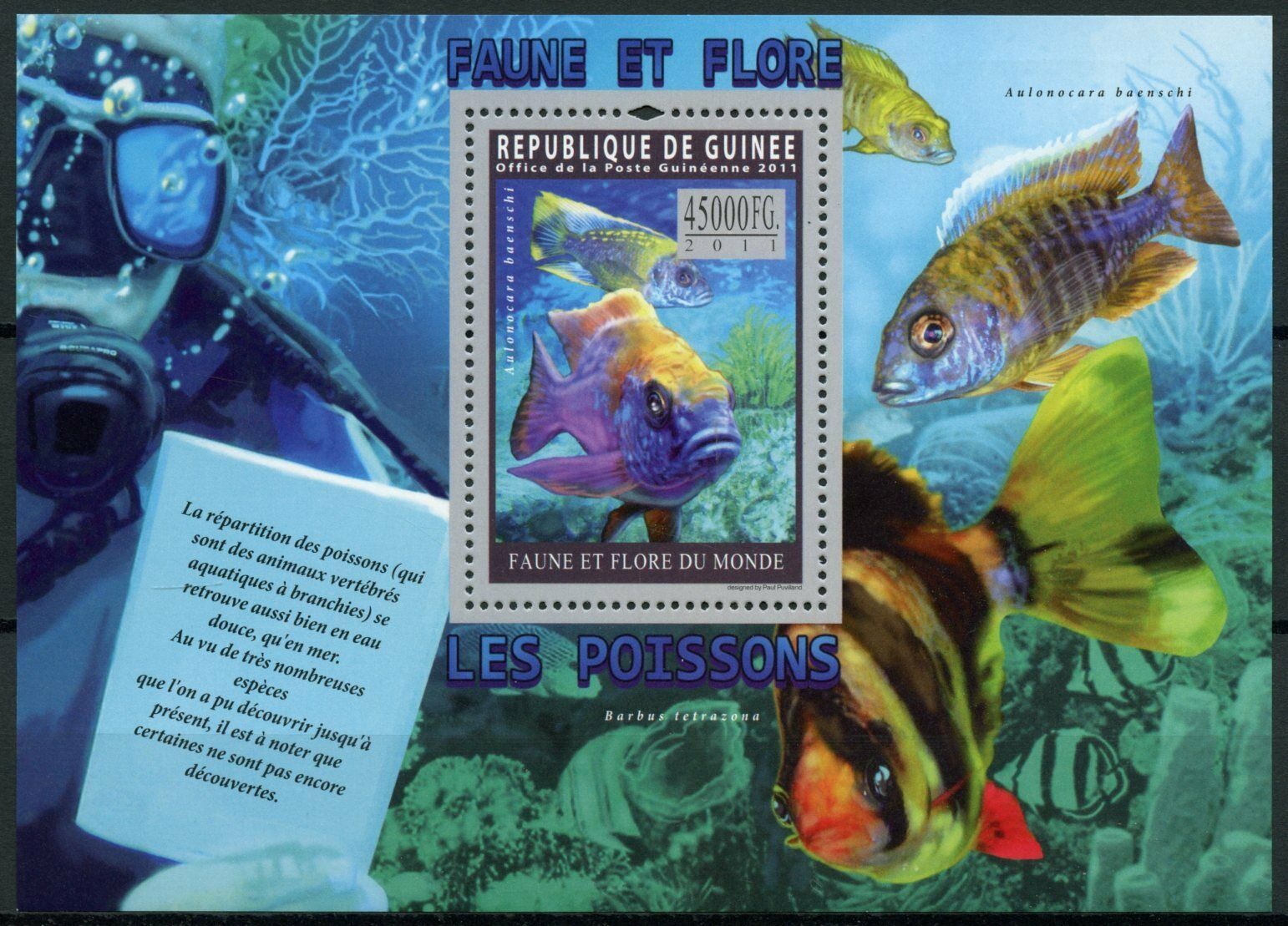 Guinea Fish Stamps 2011 MNH Fishes Peacock Cichlids Fauna & Flora 1v S/S