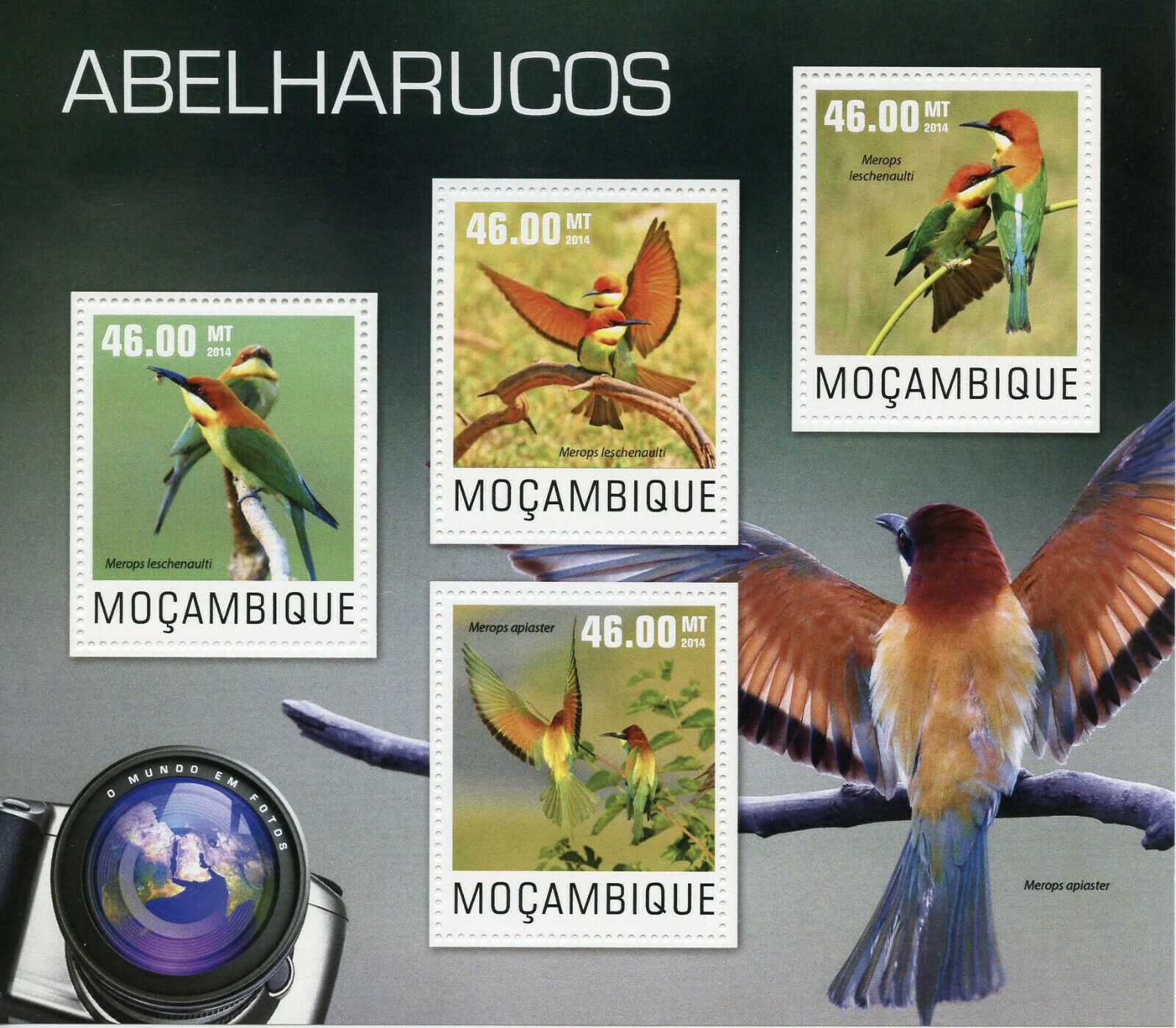 Mozambique Birds on Stamps 2014 MNH Bee-Eaters Chestnut-Headed Bee-Eater 4v M/S