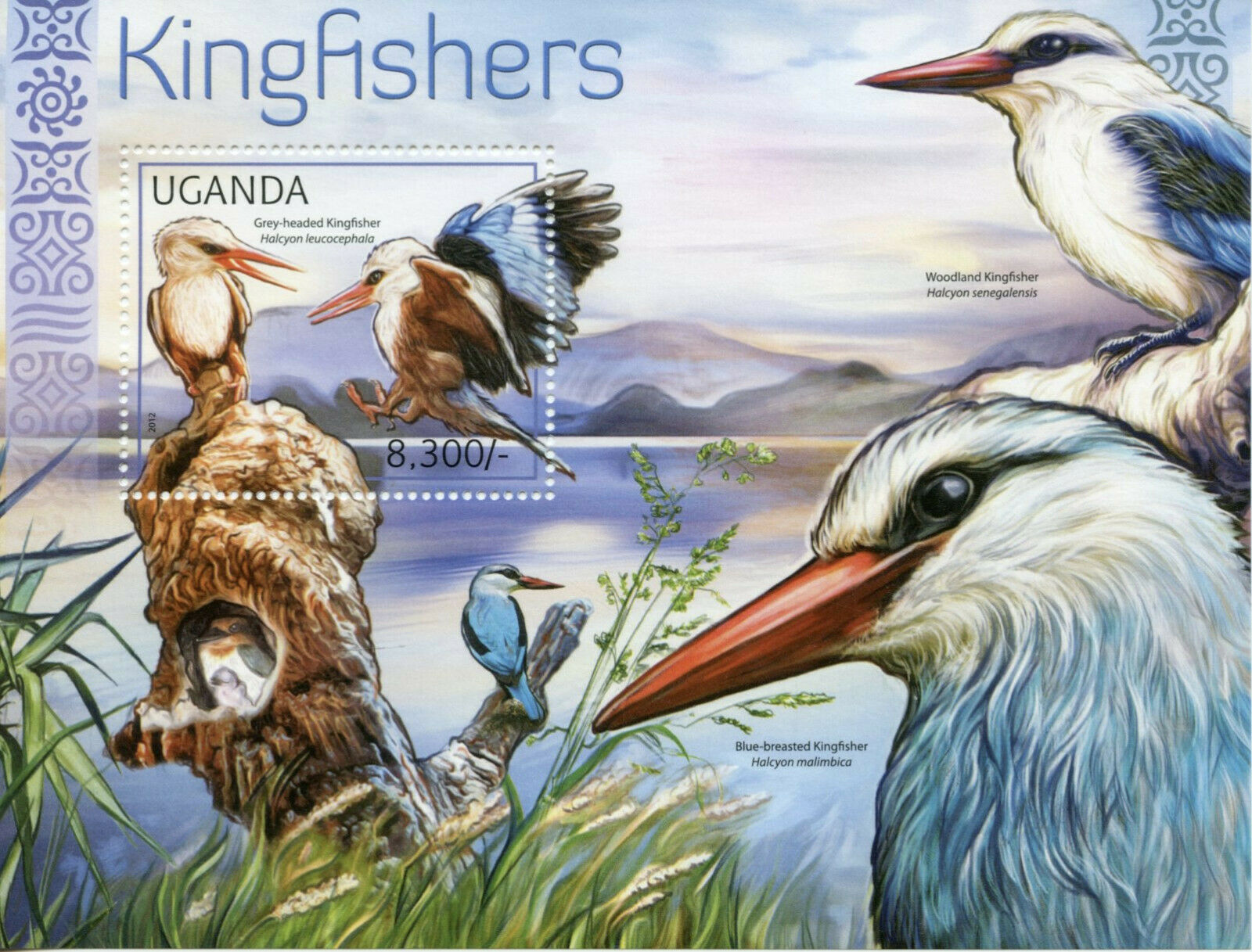 Uganda Birds Stamps 2012 MNH Kingfishers Grey-Headed Kingfisher 1v S/S