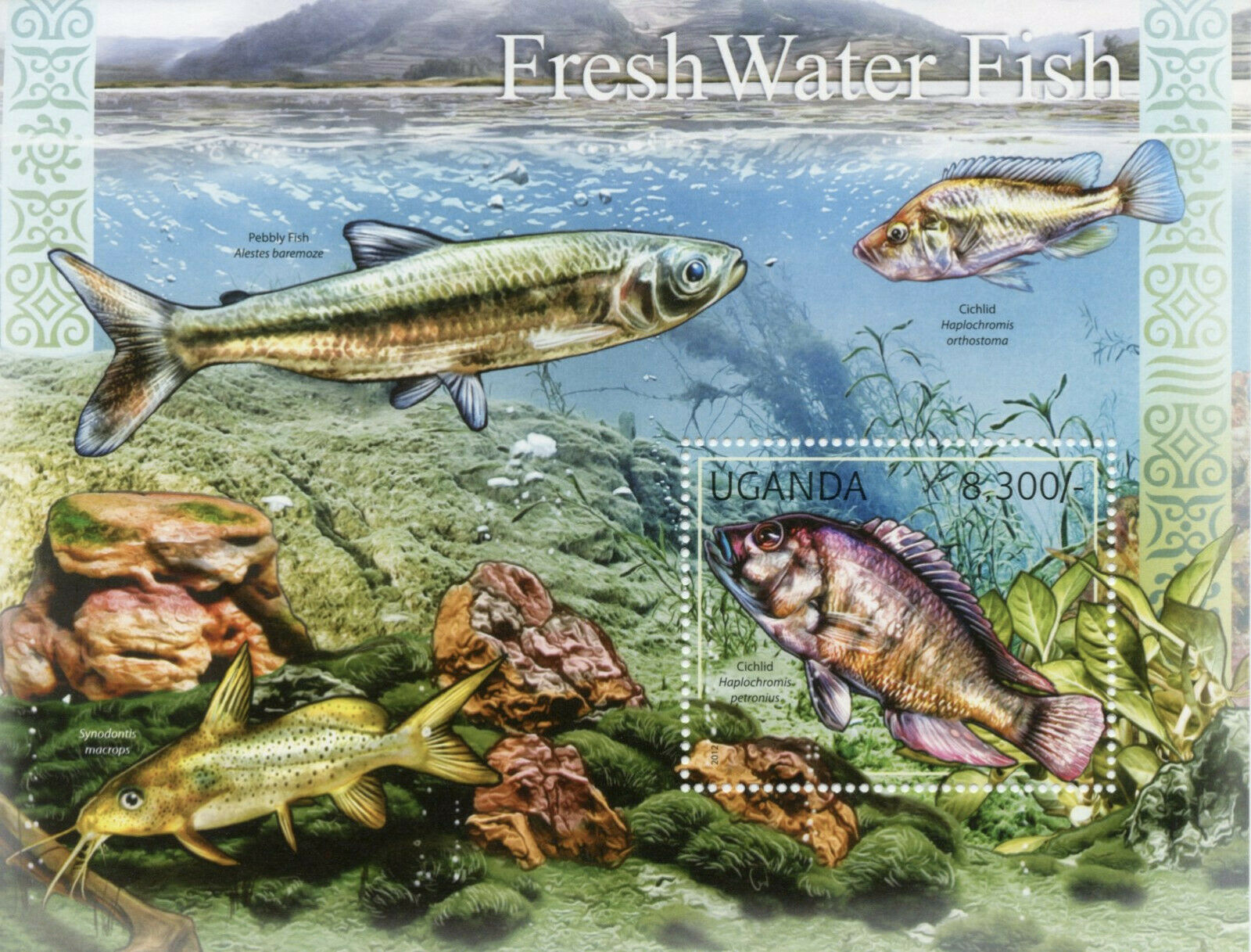 Uganda Freshwater Fish Stamps 2012 MNH Pebbly Fish Cichlids 1v S/S