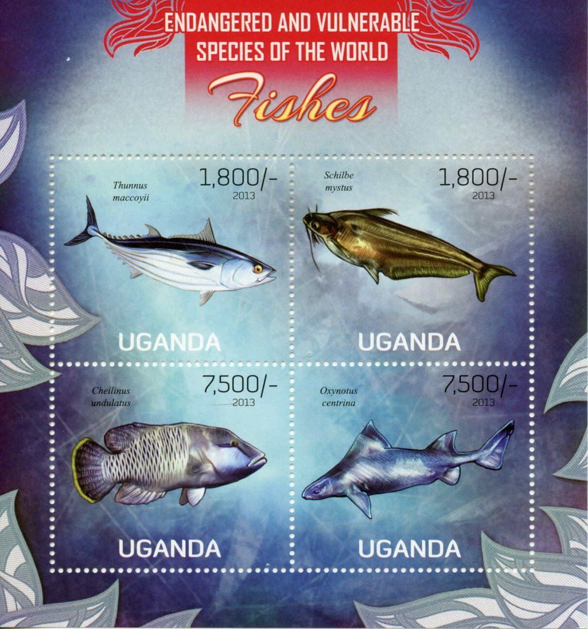 Uganda 2013 MNH Fish Stamps Fishes Bluefin Tuna Endangered Species Sharks 4v M/S