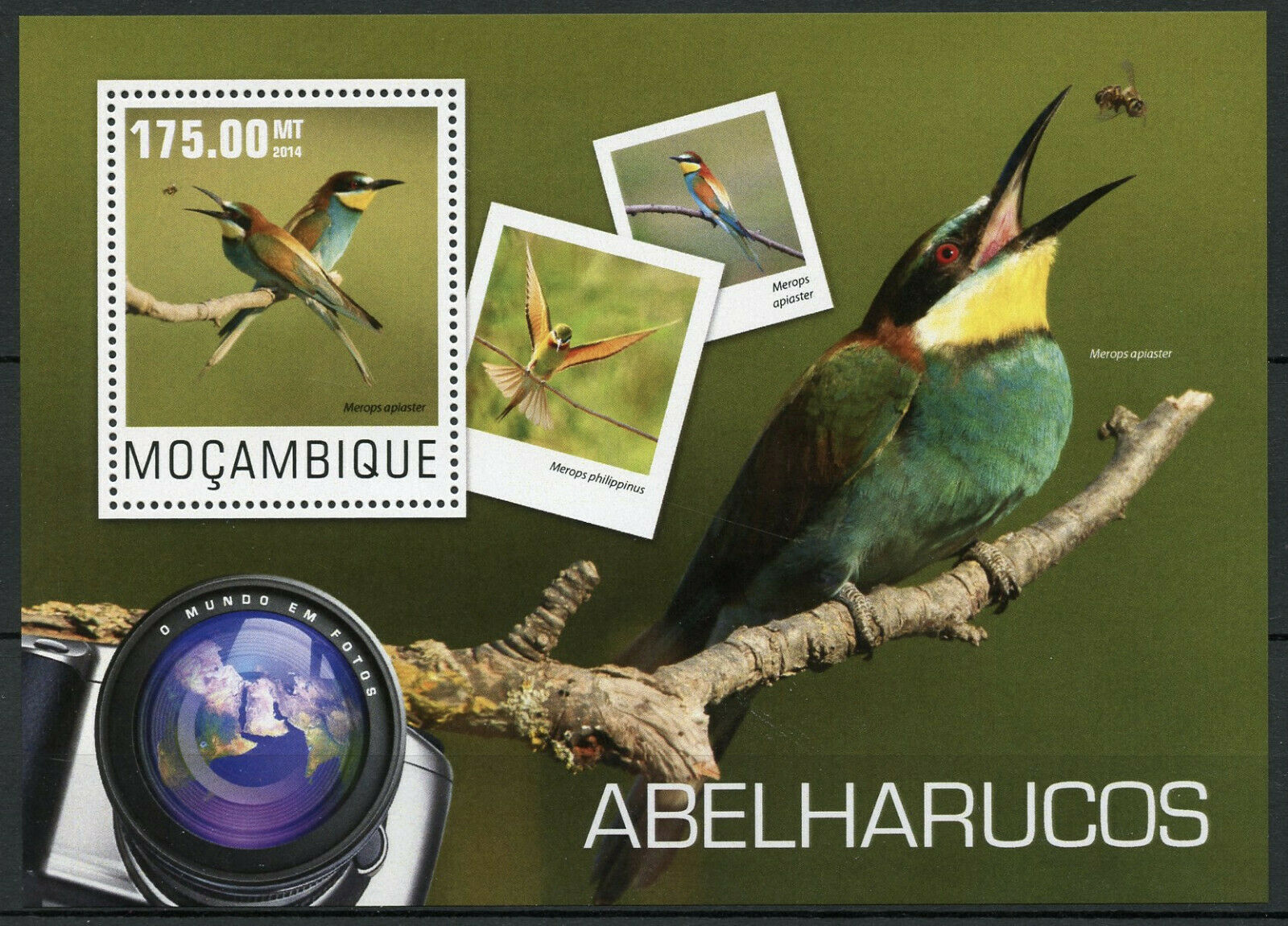 Mozambique Birds on Stamps 2014 MNH Bee-Eaters European Bee-Eater 1v S/S
