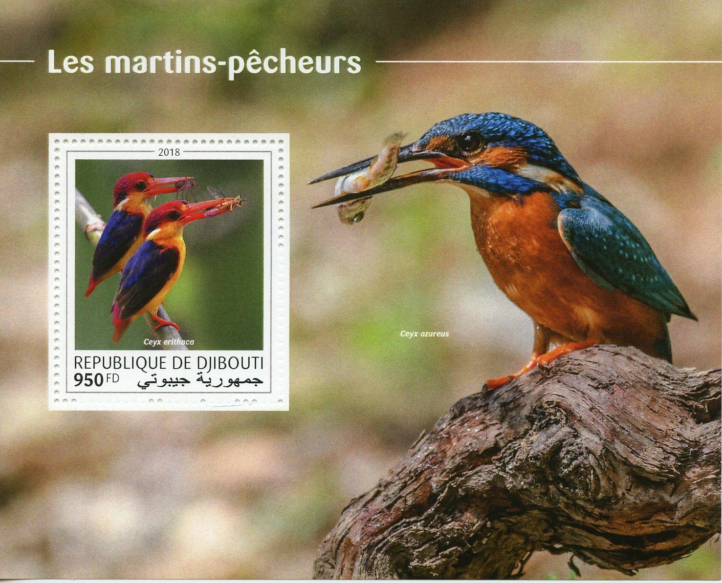 Djibouti 2018 MNH Birds on Stamps Kingfishers Oriental Dwarf Kingfisher 1v S/S