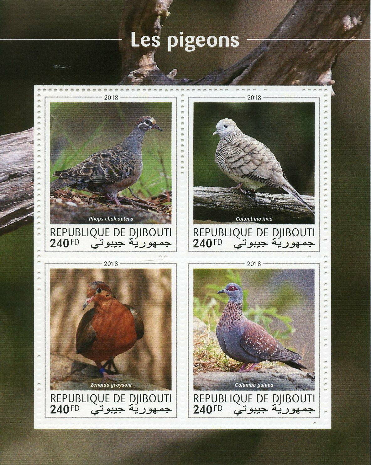 Djibouti Birds on Stamps 2018 MNH Pigeons Doves Bronzewing Inca Dove 4v M/S