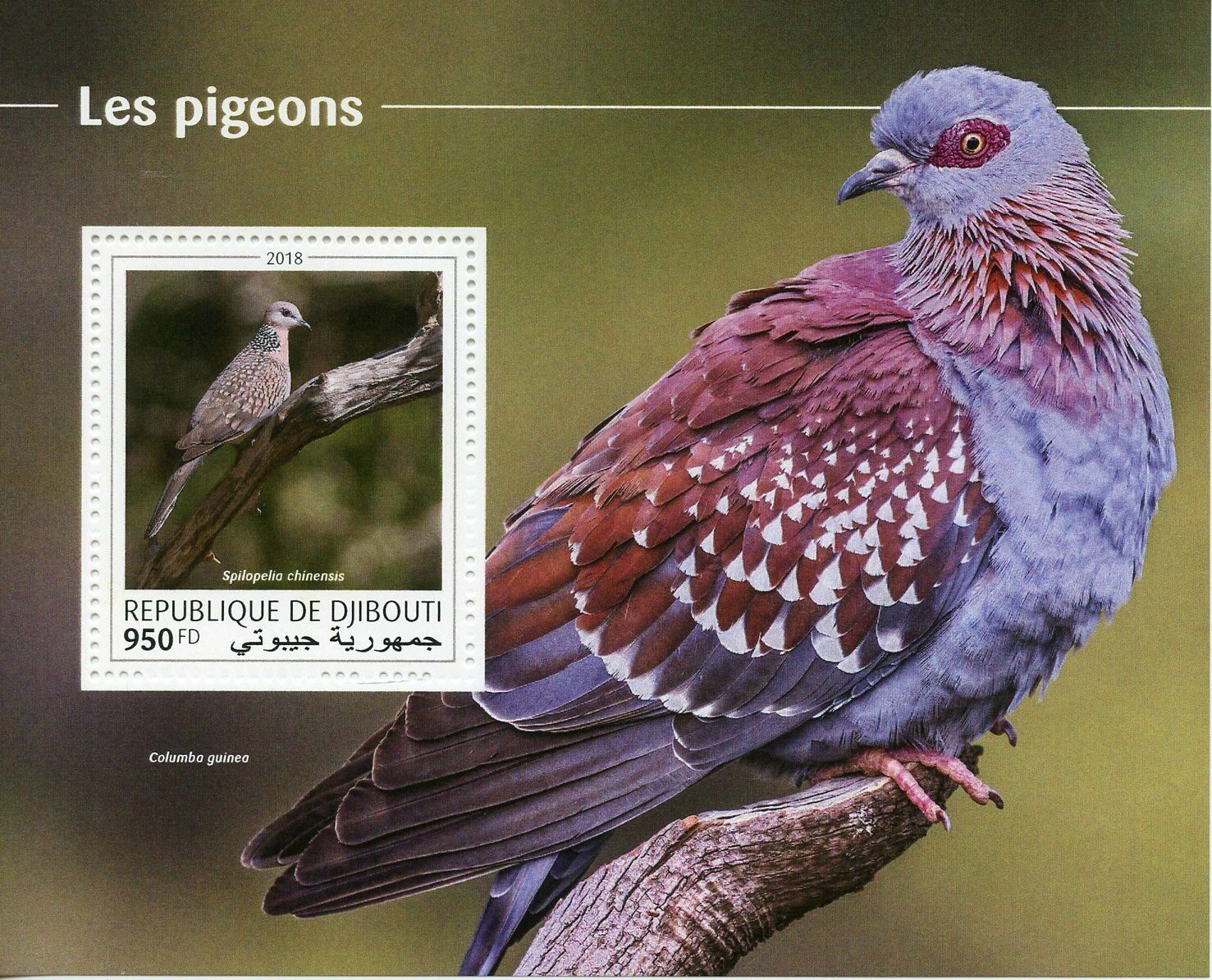 Djibouti Birds on Stamps 2018 MNH Pigeons Doves Spotted Dove 1v S/S