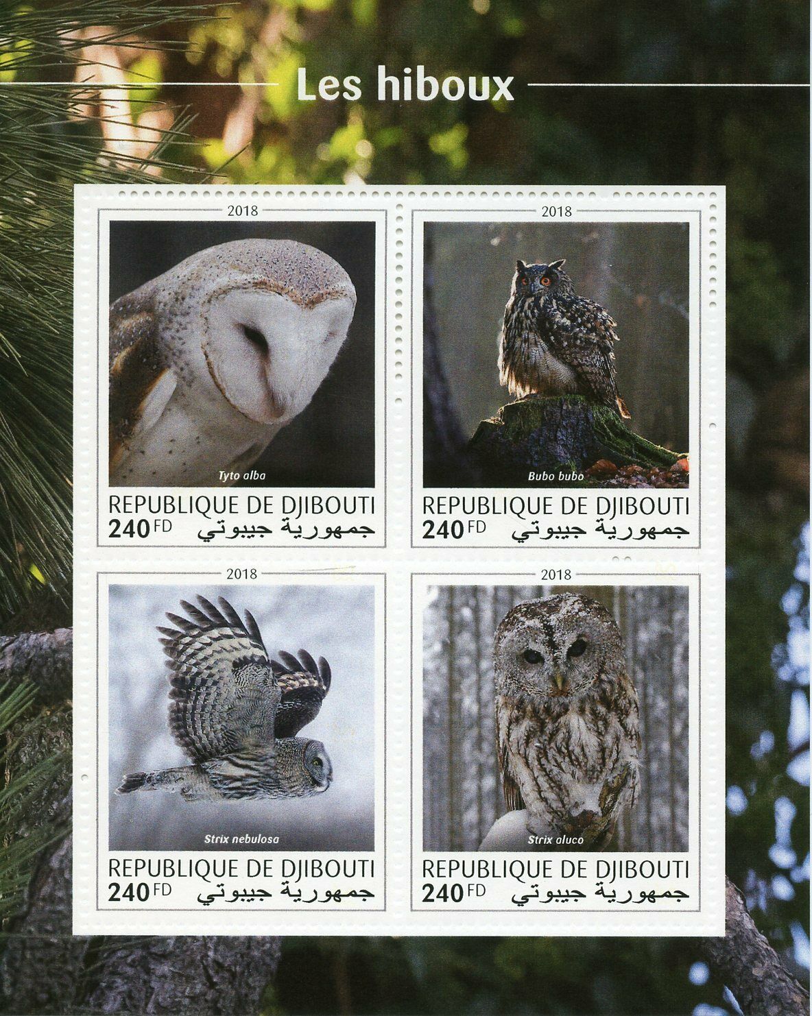 Djibouti Birds on Stamps 2018 MNH Owls Barn Owl Eagle-Owl 4v M/S