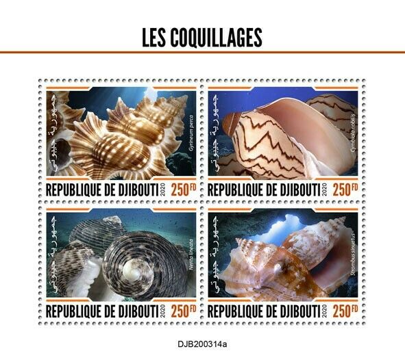 Djibouti Seashells Stamps 2020 MNH Shells Strombus Cymbiola Marine 4v M/S