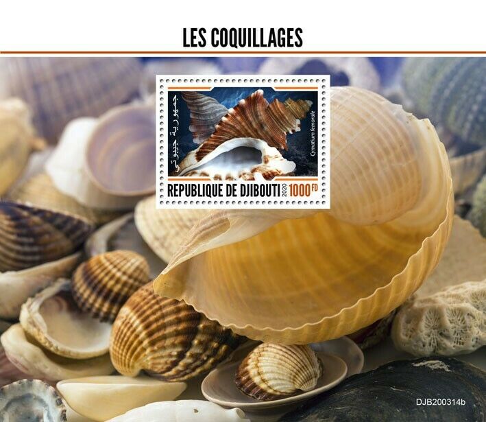 Djibouti Seashells Stamps 2020 MNH Shells Cymatium Marine 1v S/S