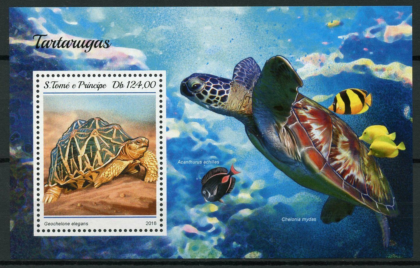 Sao Tome & Principe Turtles Stamps 2018 MNH Indian Star Tortoise Reptiles 1v S/S