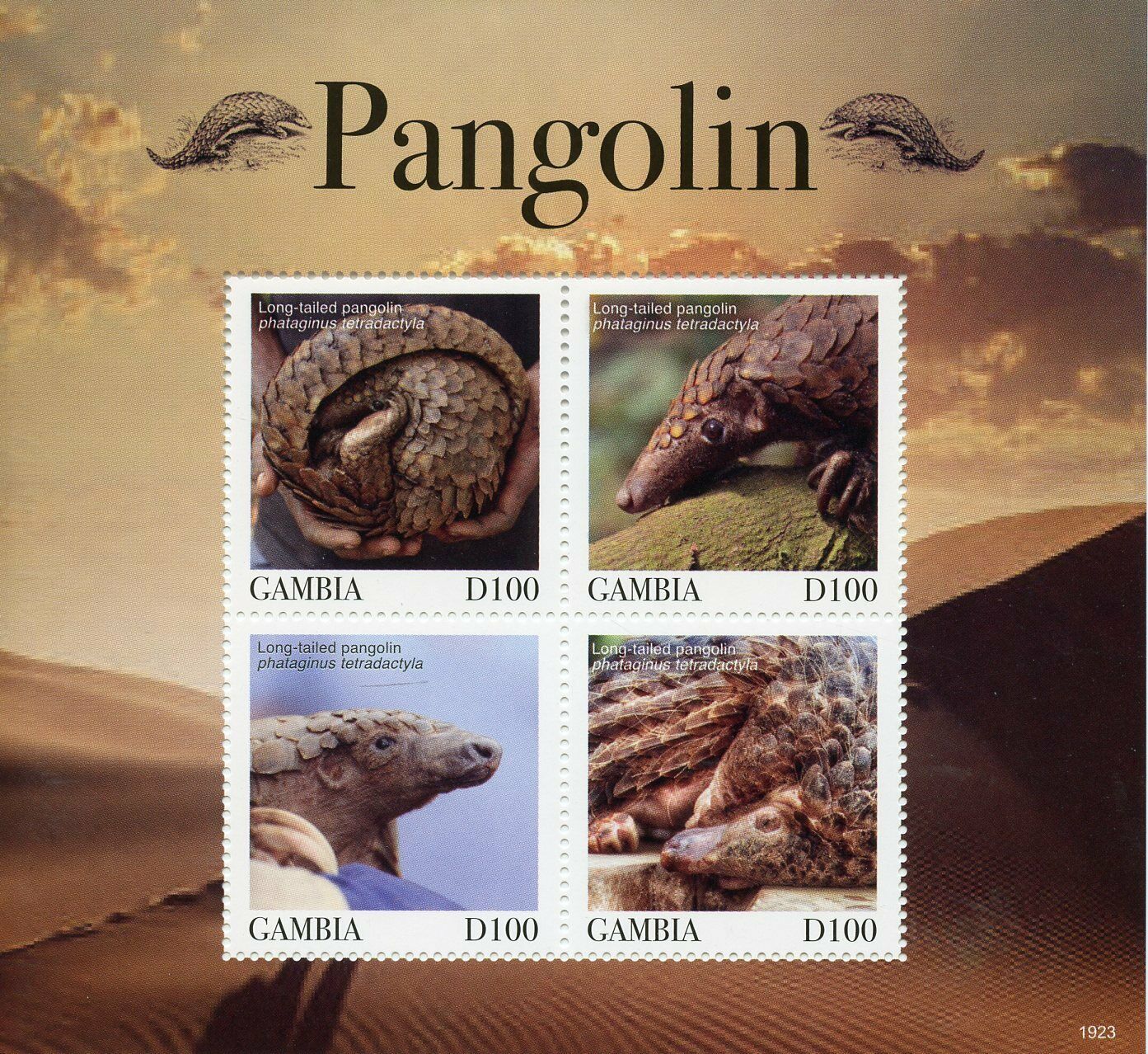 Gambia 2019 MNH Wild Animals Stamps Pangolins Long-Tailed Pangolin Fauna 4v M/S