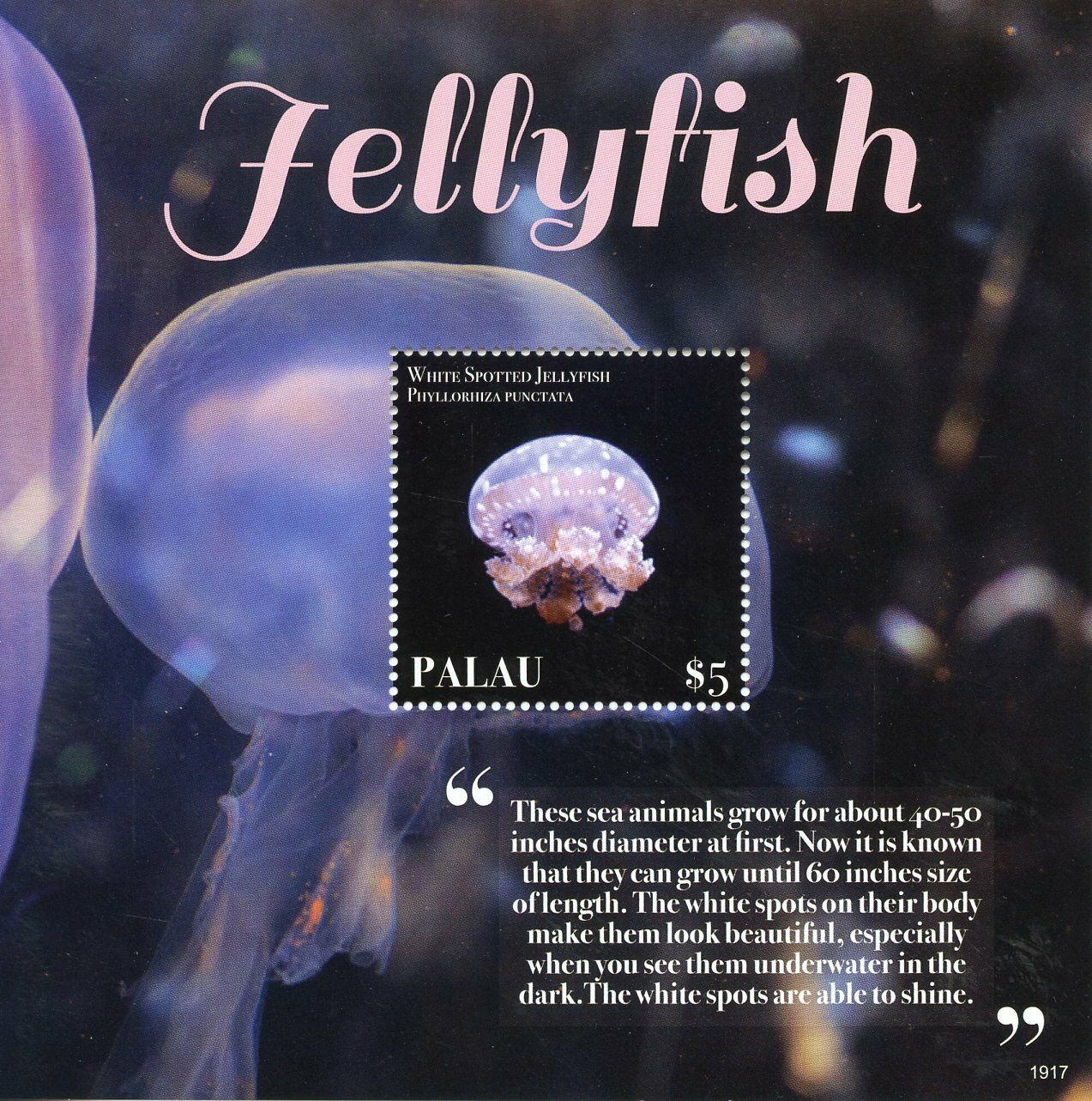 Palau Marine Animals Stamps 2019 MNH White Spotted Jellyfish 1v S/S