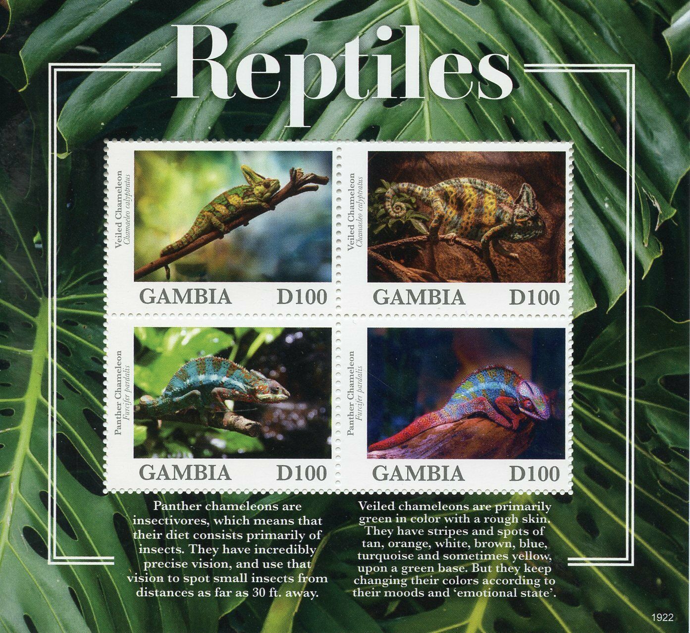 Gambia Reptiles Stamps 2019 MNH Chameleons Veiled Chameleon Lizards 4v M/S