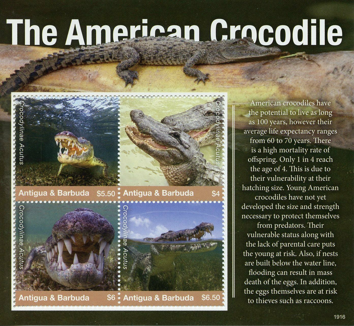 Antigua & Barbuda Reptiles Stamps 2019 MNH American Crocodile Crocodiles 4v M/S