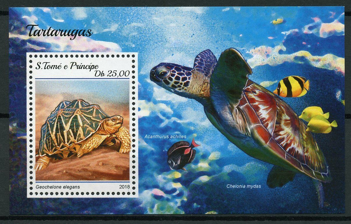 Sao Tome & Principe Turtles Stamps 2018 MNH Indian Star Tortoise 1v SMALL S/S