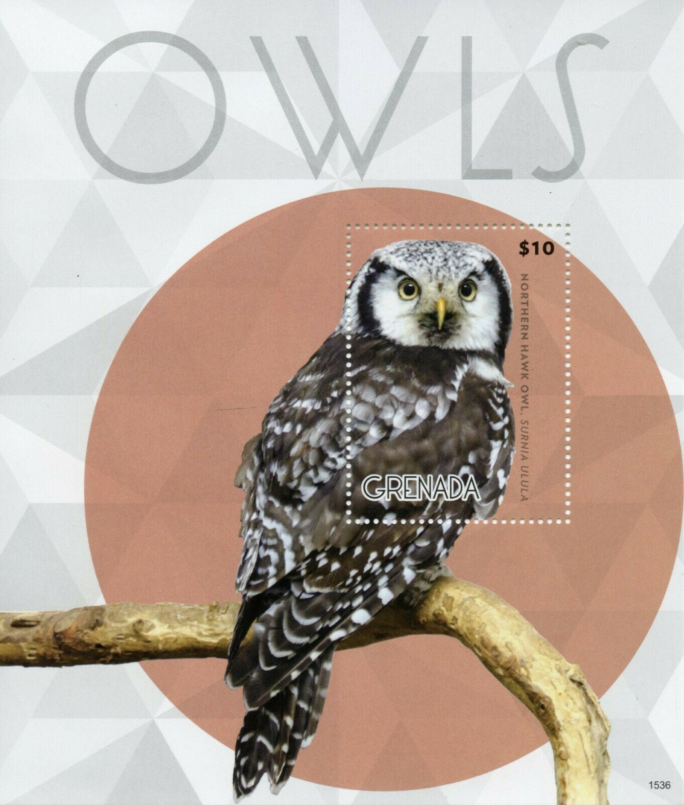 Grenada 2015 MNH Birds of Prey on Stamps Owls Northern Hawk Owl 1v S/S I