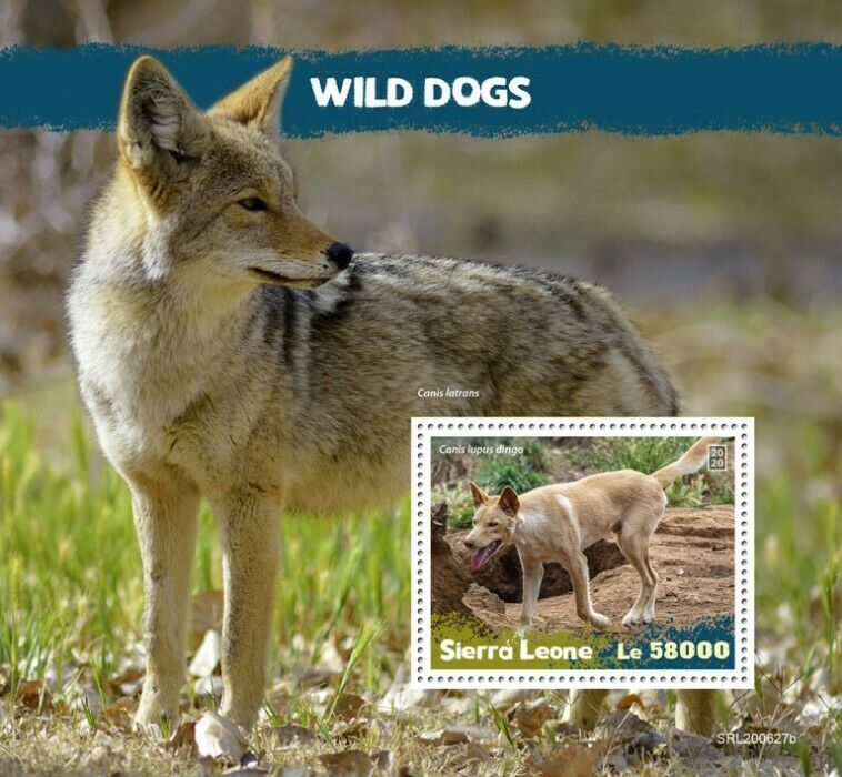 Sierra Leone Wild Animals Stamps 2020 MNH Wild Dogs Dingos Coyotes Fauna 1v S/S