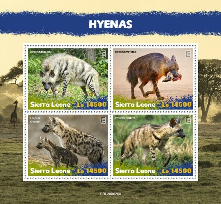 Sierra Leone Wild Animals Stamps 2020 MNH Hyenas Hyena Aardwolf Fauna 4v M/S