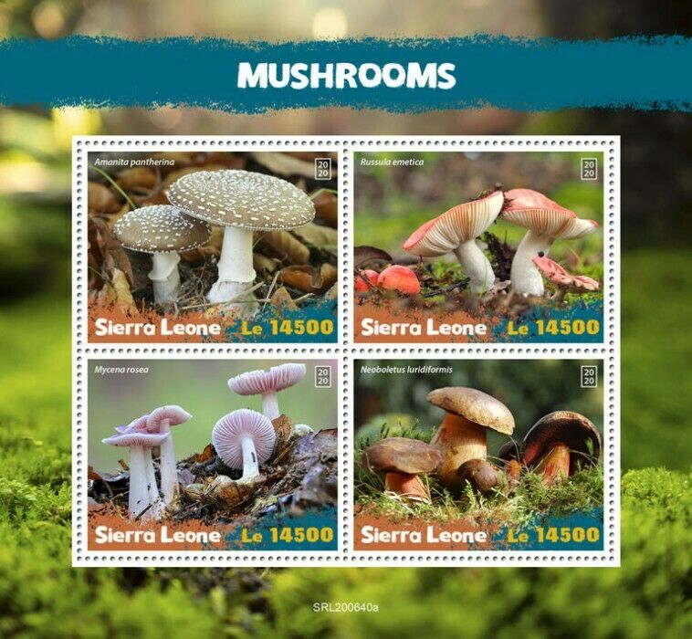 Sierra Leone Mushrooms Stamps 2020 MNH Fungi Panther Cap Nature 4v M/S