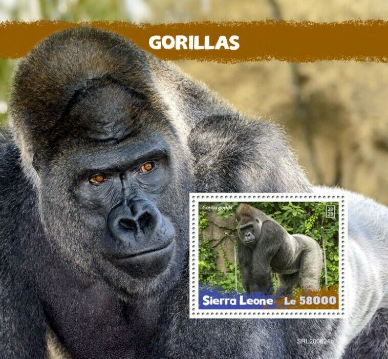 Sierra Leone 2020 MNH Wild Animals Stamps Gorillas Primates Apes Fauna 1v S/S