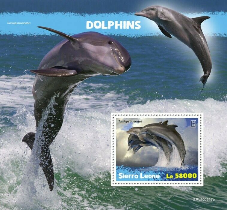 Sierra Leone Marine Animals Stamps 2020 MNH Dolphins Bottlenose Dolphin 1v S/S