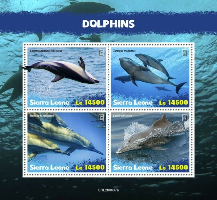 Sierra Leone Marine Animals Stamps 2020 MNH Dolphins Bottlenose Dolphin 4v M/S
