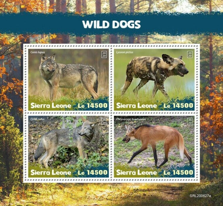 Sierra Leone Wild Animals Stamps 2020 MNH Wild Dogs Red Wolf Fauna 4v M/S