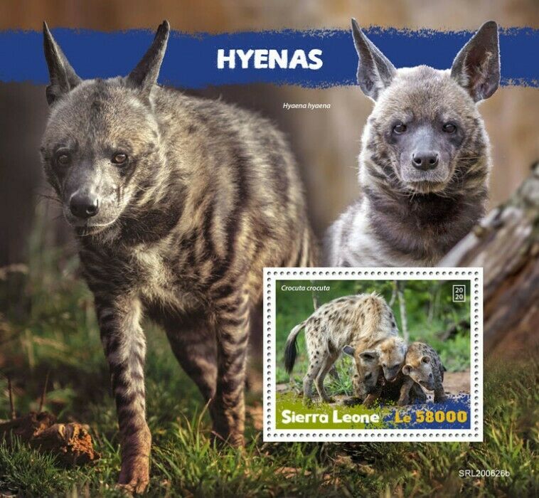 Sierra Leone Wild Animals Stamps 2020 MNH Hyenas Spotted Hyena Fauna 1v S/S