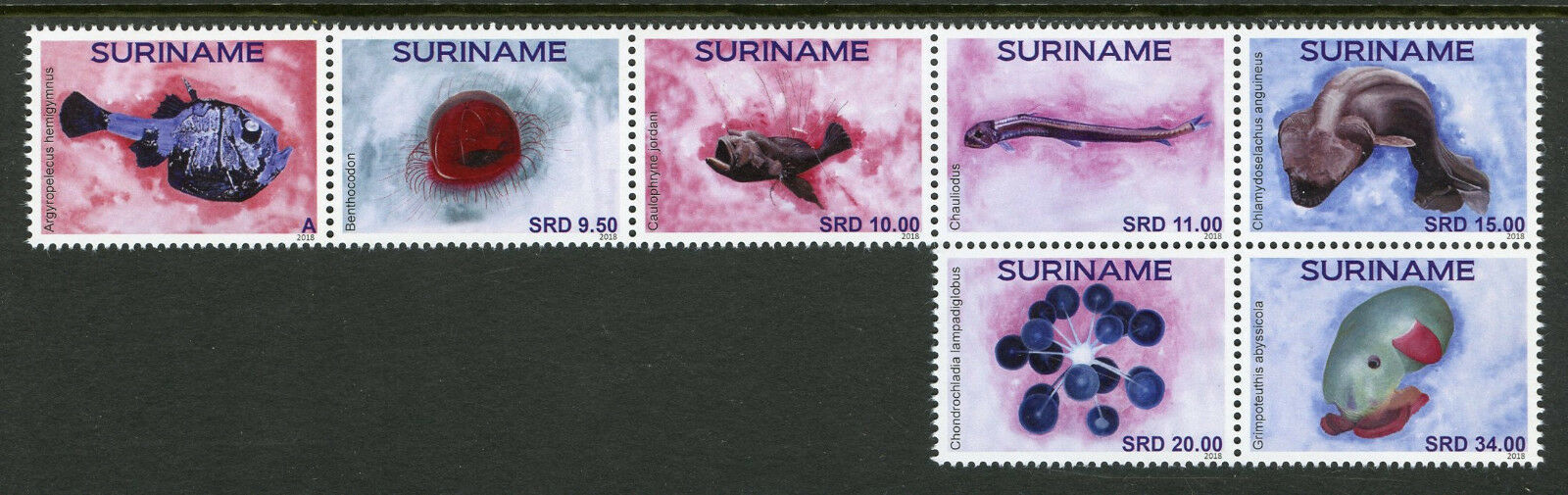 Suriname Fish Stamps 2018 MNH Sea Life Mariana Trench Fishes Marine 7v Set
