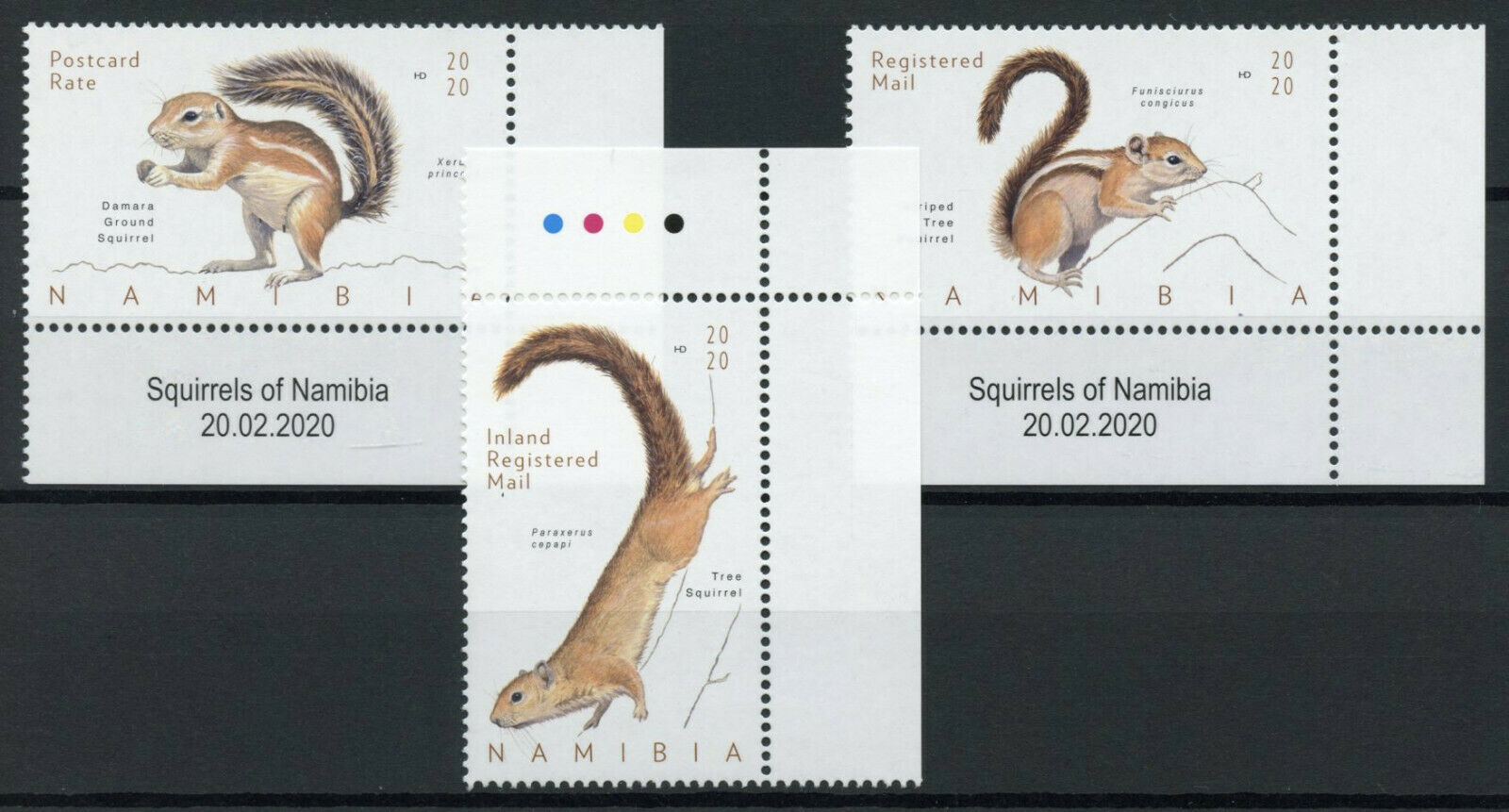 Namibia Wild Animals Stamps 2020 MNH Squirrels Tree Squirrel 3v Set + Selvedge B
