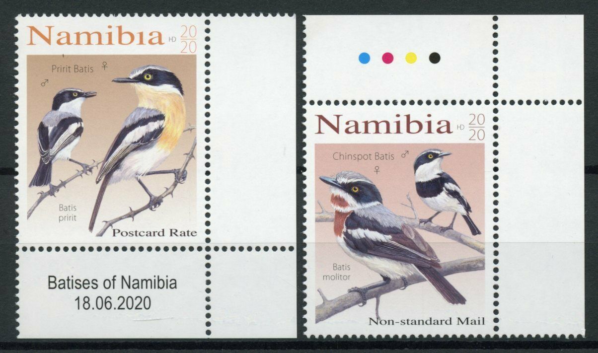 Namibia Birds on Stamps 2020 MNH Batises Pririt Chinspot Batis Fauna 2v Set