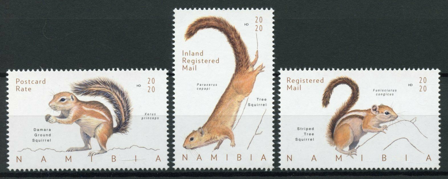 Namibia 2020 MNH Wild Animals Stamps Squirrels Tree Squirrel Fauna 3v Set