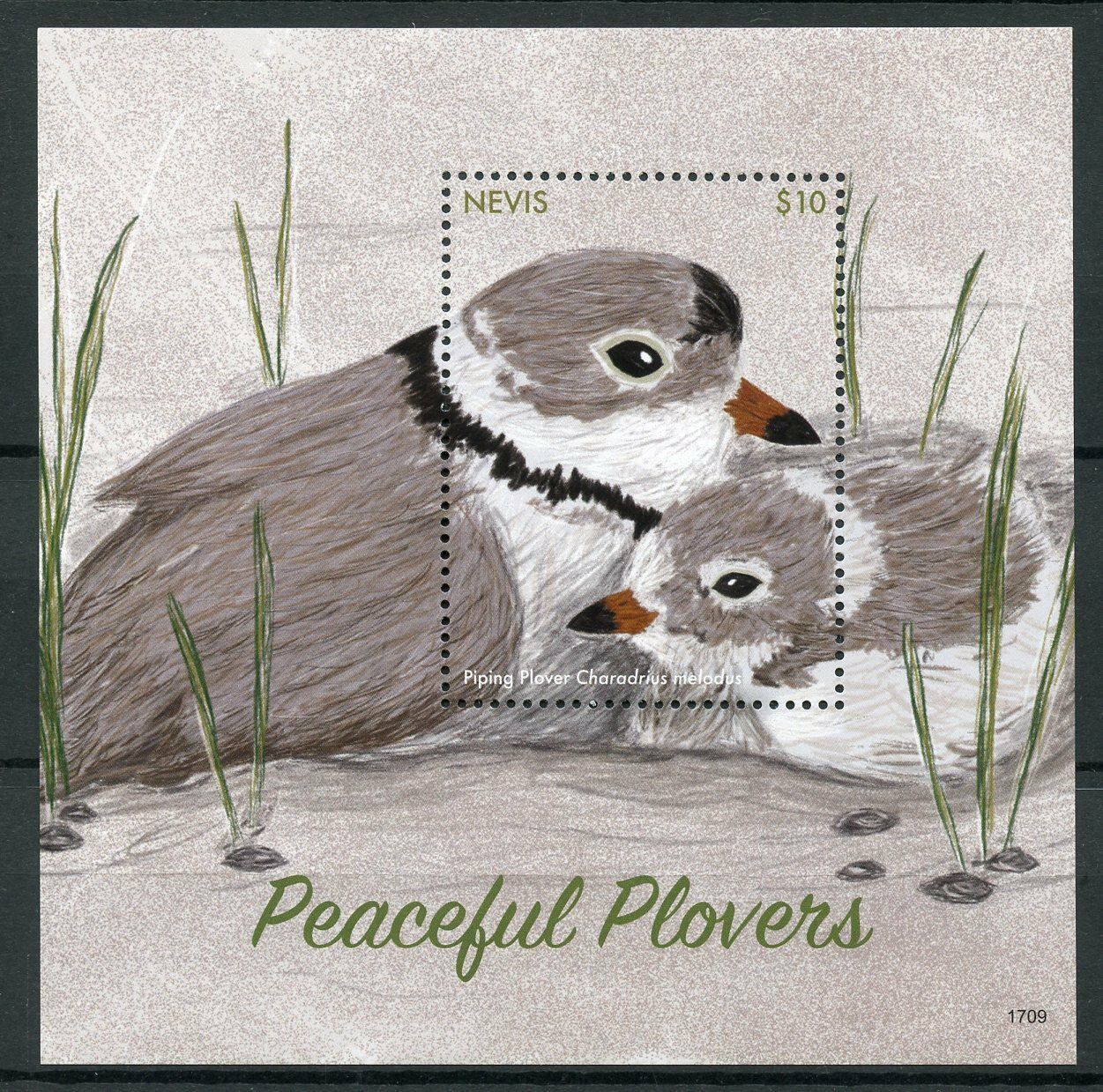 Nevis 2017 MNH Birds on Stamps Peaceful Plovers Piping Plover 1v S/S I
