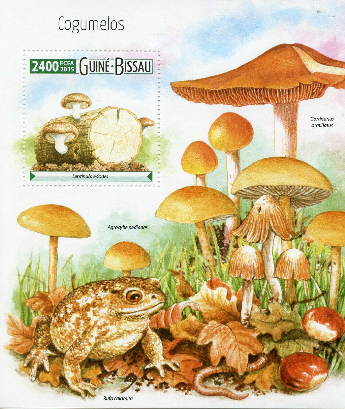 Guinea-Bissau 2015 MNH Mushrooms 1v S/S Nature Natterjack Toads Cogumelos