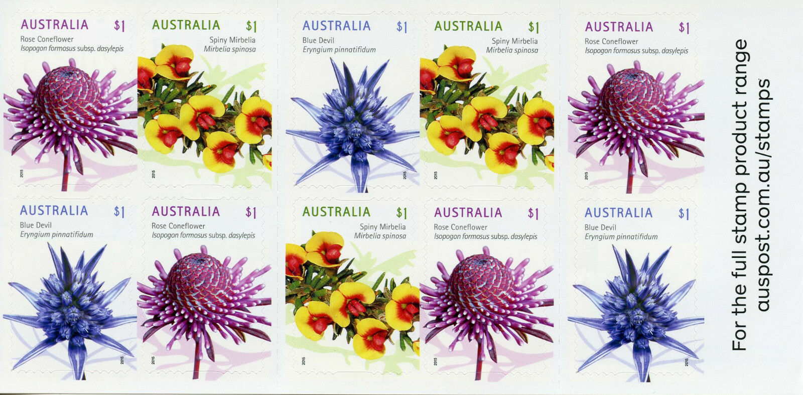 Australia 2015 MNH Wild Flowers 10v S/A Booklet Coneflower Spiny Mirbelia Stamps