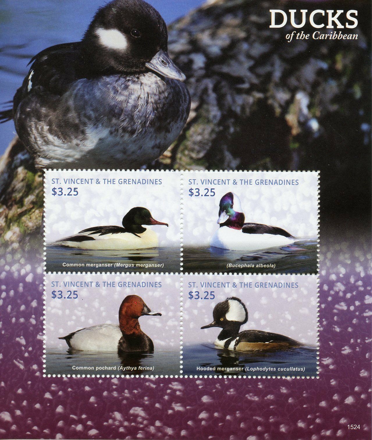 St Vincent & Grenadines Birds on Stamps 2015 MNH Ducks of Caribbean 4v M/S II