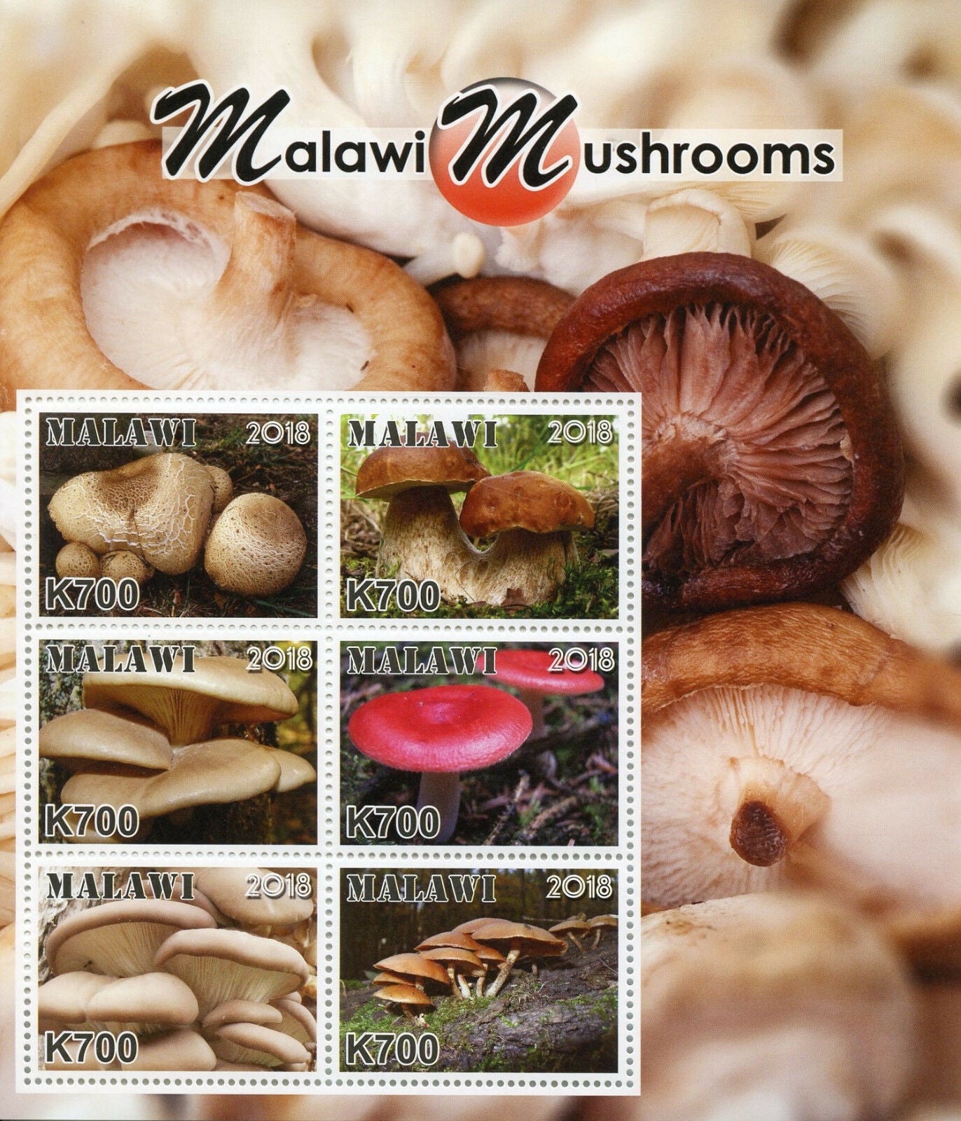 Malawi 2018 MNH Mushrooms 6v M/S Fungi Nature Stamps