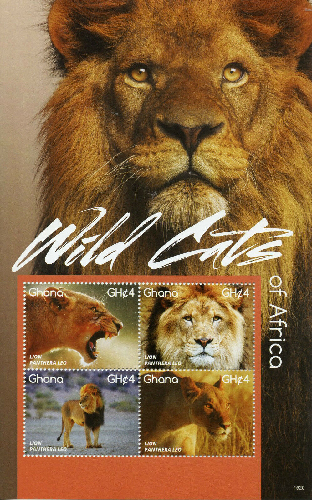 Ghana Wild Animals Stamps 2015 MNH Wild Cats of Africa Lions Fauna 4v M/S II