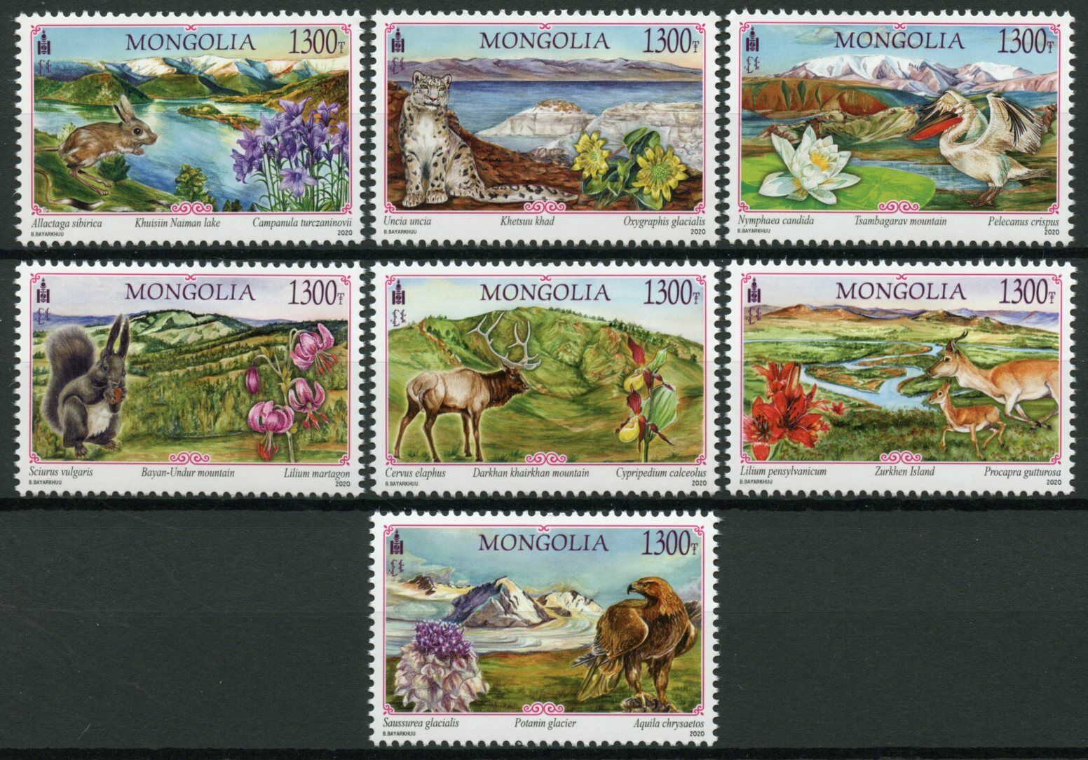 Mongolia Landscapes Stamps 2020 MNH Wild Animals Birds Pelicans Flowers 7v Set