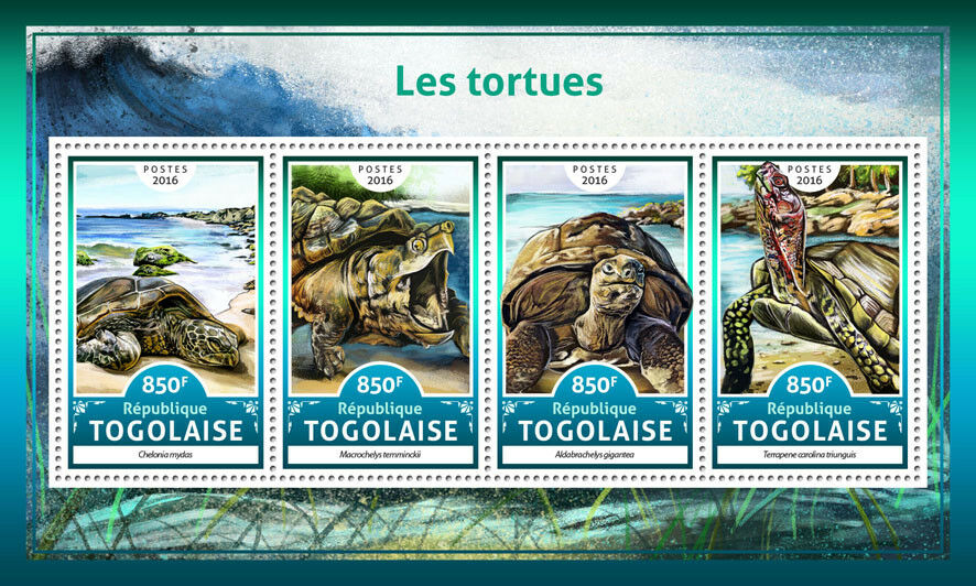 Togo 2016 MNH Turtles Green Sea Turtle 4v M/S Tortues Reptiles Stamps