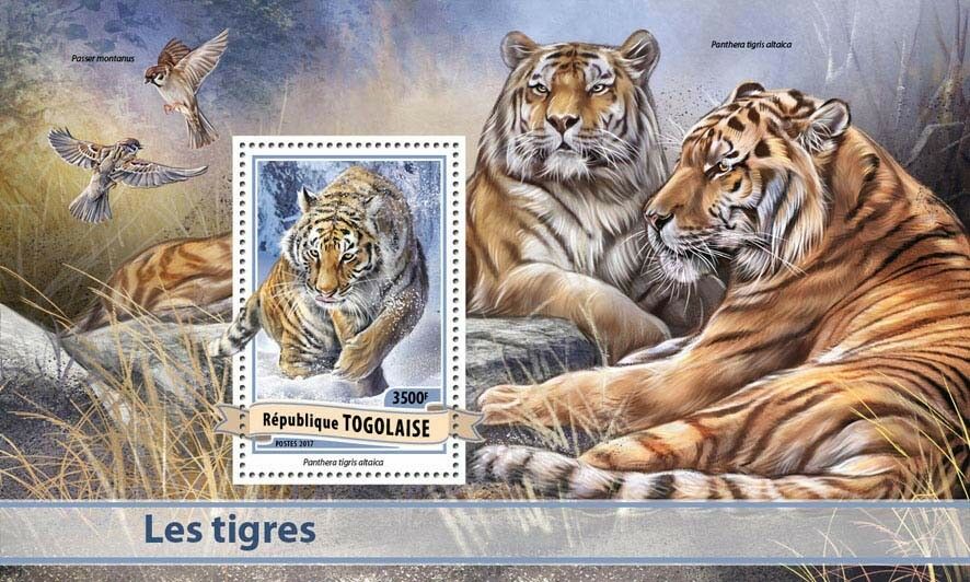 Togo 2017 MNH Tigers Sparrows 1v S/S Birds Big Cats Wild Animals Stamps