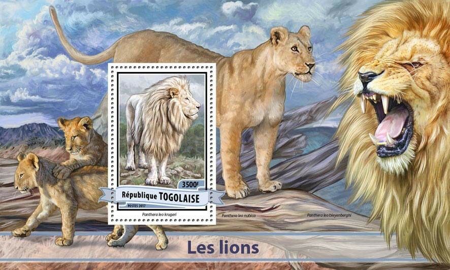 Togo 2017 MNH Lions Lion 1v S/S Big Cats Wild Animals Stamps