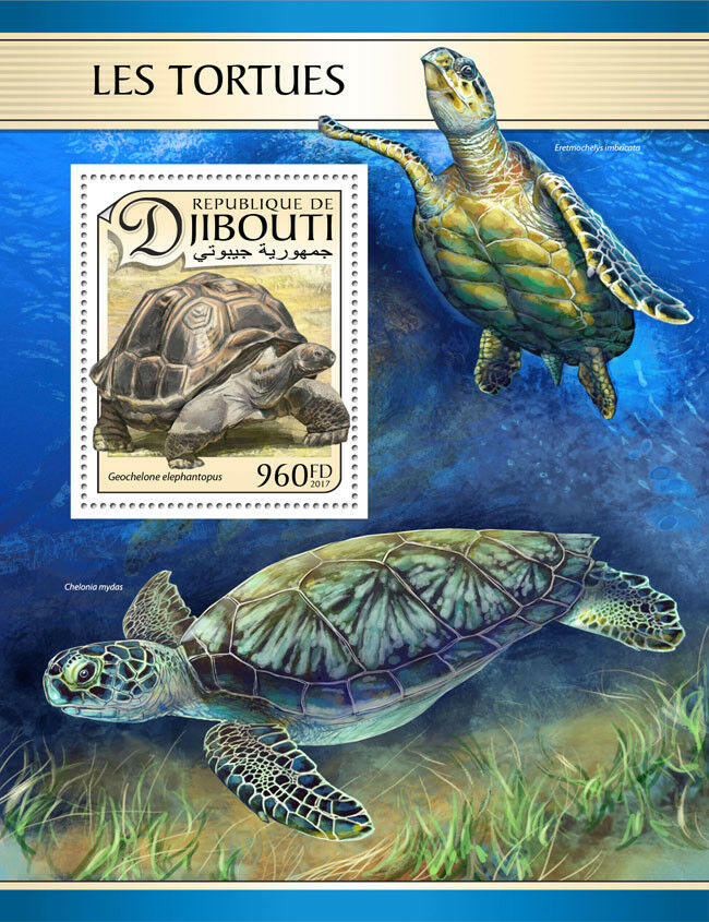 Djibouti Turtles Stamps 2017 MNH Giant Tortoise Green Sea Turtle Reptiles 1v S/S