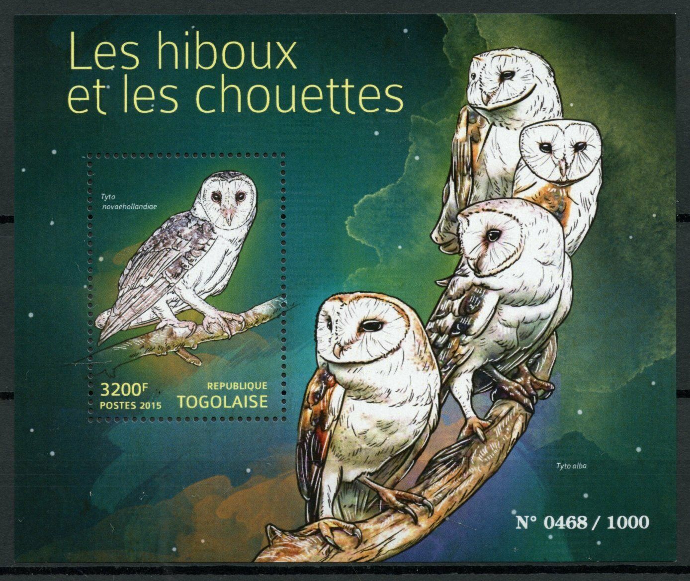 Togo Birds of Prey on Stamps 2015 MNH Owls Barn Owl 1v S/S
