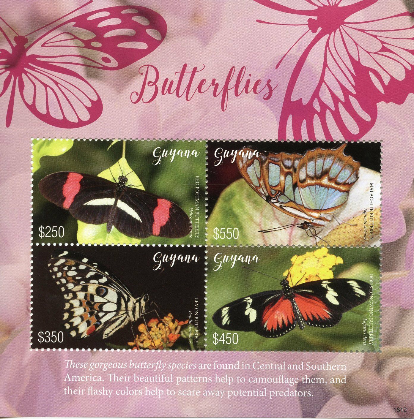 Guyana Butterflies Stamps 2018 MNH Malachite Lemon Butterfly Insects 4v M/S I