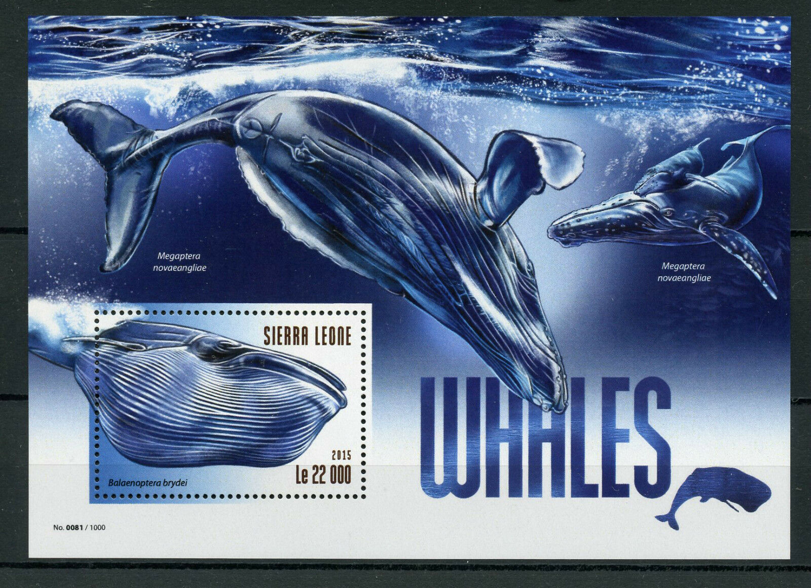 Sierra Leone 2015 MNH Whales 1v S/S Marine Mammals Bryde's Whale Stamps