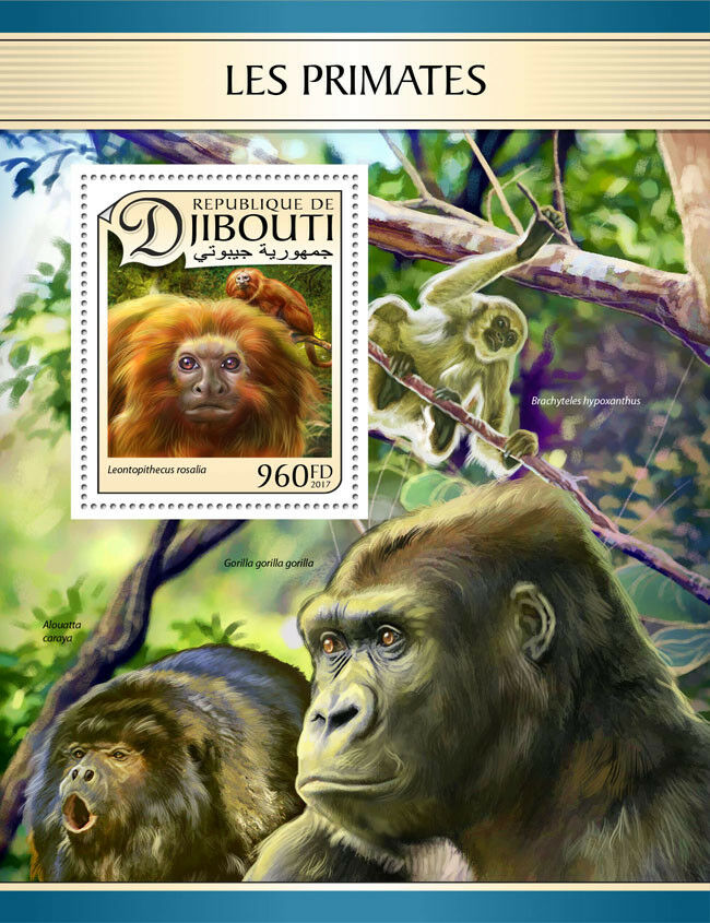 Djibouti 2017 MNH Primates Tamarins Gorillas 1v S/S Monkeys Wild Animals Stamps