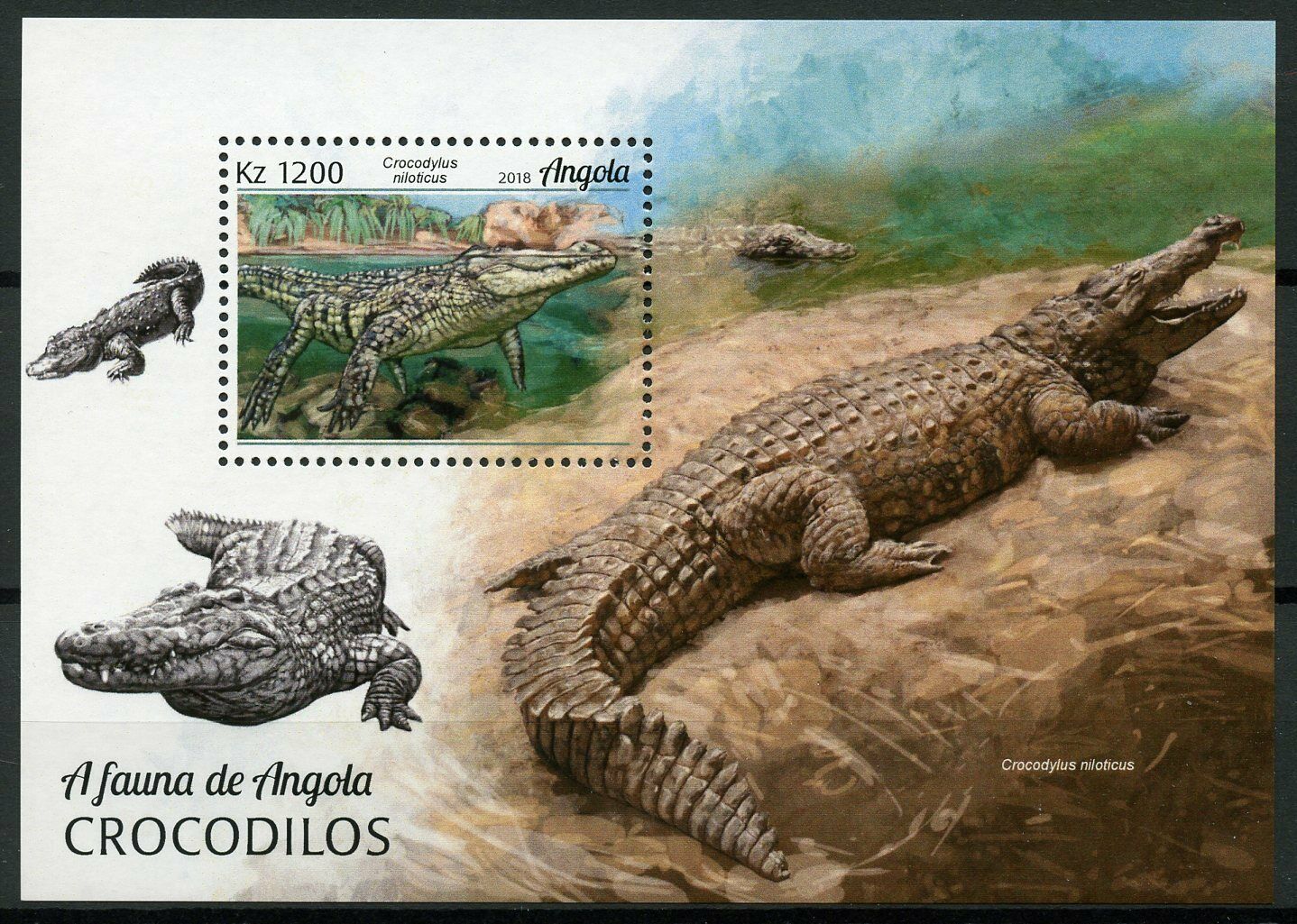 Angola 2018 MNH Crocodiles Crocodile 1v M/S Reptiles on Stamps