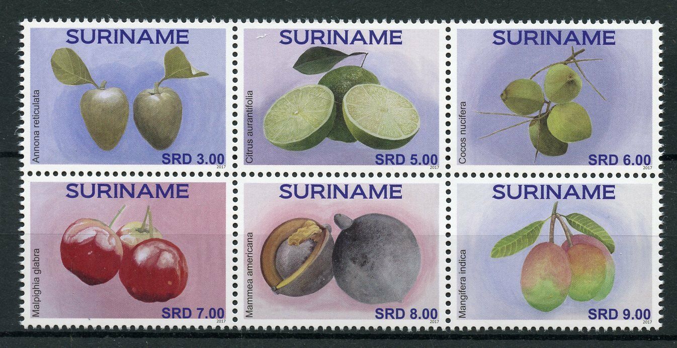 Suriname 2017 MNH Fruit Fruits 6v Block Berries Nature Stamps
